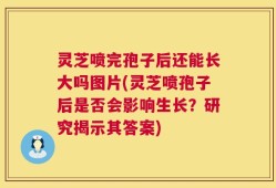 灵芝喷完孢子后还能长大吗图片(灵芝喷孢子后是否会影响生长？研究揭示其答案)