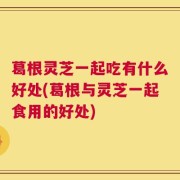 葛根灵芝一起吃有什么好处(葛根与灵芝一起食用的好处)