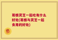 葛根灵芝一起吃有什么好处(葛根与灵芝一起食用的好处)