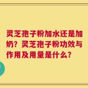 灵芝孢子粉加水还是加奶？灵芝孢子粉功效与作用及用量是什么？