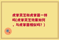 虎掌灵芝和虎掌菌一样吗(虎掌灵芝效果如何，与虎掌菌相似吗？)