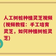 人工树桩种植灵芝视频(视频教程：手工培育灵芝，如何种植树桩灵芝)