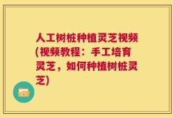 人工树桩种植灵芝视频(视频教程：手工培育灵芝，如何种植树桩灵芝)