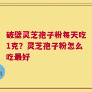 破壁灵芝孢子粉每天吃1克？灵芝孢子粉怎么吃最好