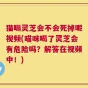 猫喝灵芝会不会死掉呢视频(喵咪喝了灵芝会有危险吗？解答在视频中！)