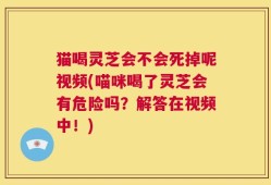 猫喝灵芝会不会死掉呢视频(喵咪喝了灵芝会有危险吗？解答在视频中！)