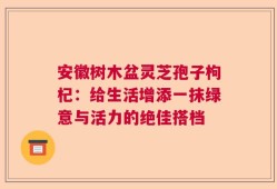 安徽树木盆灵芝孢子枸杞：给生活增添一抹绿意与活力的绝佳搭档