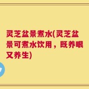 灵芝盆景煮水(灵芝盆景可煮水饮用，既养眼又养生)