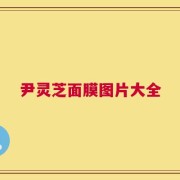 尹灵芝面膜图片大全
