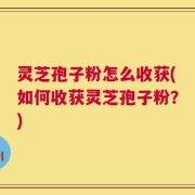 灵芝孢子粉怎么收获(如何收获灵芝孢子粉？)