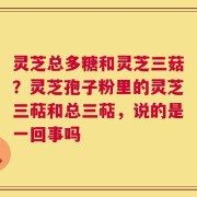 灵芝总多糖和灵芝三菇？灵芝孢子粉里的灵芝三萜和总三萜，说的是一回事吗