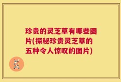 珍贵的灵芝草有哪些图片(探秘珍贵灵芝草的五种令人惊叹的图片)