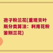 孢子粉兰花(重现贝叶斯分类算法：利用花粉鉴别兰花)