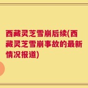 西藏灵芝雪崩后续(西藏灵芝雪崩事故的最新情况报道)