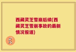 西藏灵芝雪崩后续(西藏灵芝雪崩事故的最新情况报道)