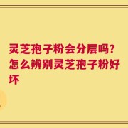 灵芝孢子粉会分层吗？怎么辨别灵芝孢子粉好坏