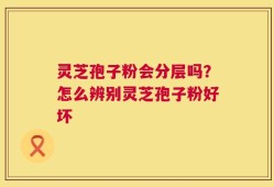 灵芝孢子粉会分层吗？怎么辨别灵芝孢子粉好坏