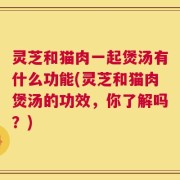 灵芝和猫肉一起煲汤有什么功能(灵芝和猫肉煲汤的功效，你了解吗？)