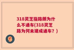 318灵芝指路朗为什么不通车(318灵芝路为何未建成通车？)