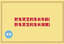 野生灵芝的生长年龄(野生灵芝的生长周期)