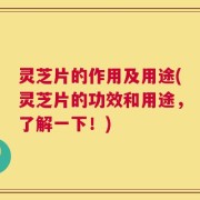 灵芝片的作用及用途(灵芝片的功效和用途，了解一下！)