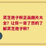 灵芝孢子粉正品图片大全？让你一目了然的了解灵芝孢子粉？