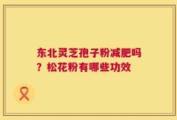 东北灵芝孢子粉减肥吗？松花粉有哪些功效