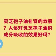 灵芝孢子油补肾的效果？人体对灵芝孢子油的成分吸收的效果好吗？