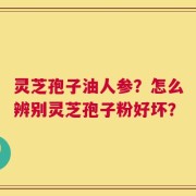 灵芝孢子油人参？怎么辨别灵芝孢子粉好坏？