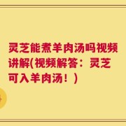 灵芝能煮羊肉汤吗视频讲解(视频解答：灵芝可入羊肉汤！)