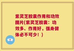 紫灵芝胶囊作用和功效图片(紫灵芝胶囊：功效多、作用好，强身健体必不可少！)