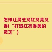 怎样让灵芝又红又亮又香(“打造红亮香美的灵芝”)