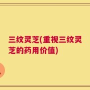 三纹灵芝(重视三纹灵芝的药用价值)
