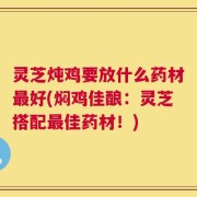 灵芝炖鸡要放什么药材最好(焖鸡佳酿：灵芝搭配最佳药材！)