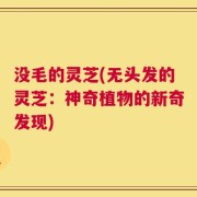 没毛的灵芝(无头发的灵芝：神奇植物的新奇发现)