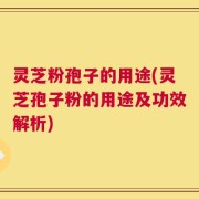 灵芝粉孢子的用途(灵芝孢子粉的用途及功效解析)