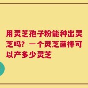 用灵芝孢子粉能种出灵芝吗？一个灵芝菌棒可以产多少灵芝