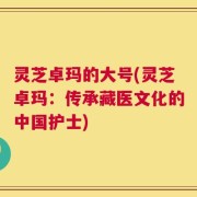 灵芝卓玛的大号(灵芝卓玛：传承藏医文化的中国护士)