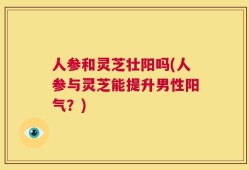 人参和灵芝壮阳吗(人参与灵芝能提升男性阳气？)