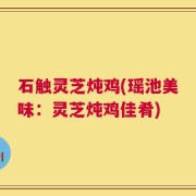 石触灵芝炖鸡(瑶池美味：灵芝炖鸡佳肴)