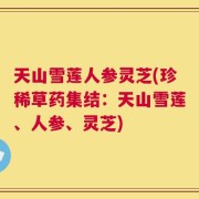 天山雪莲人参灵芝(珍稀草药集结：天山雪莲、人参、灵芝)