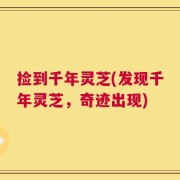 捡到千年灵芝(发现千年灵芝，奇迹出现)