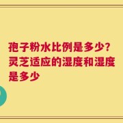 孢子粉水比例是多少？灵芝适应的湿度和湿度是多少