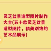 灵芝盆景造型图片制作大全(五十款灵芝盆景造型图片，精美别致的艺术品展示)