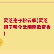 灵芝孢子粉云彩(灵芝孢子粉令云端飘散奇香)