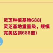 灵芝种植基地688(灵芝基地重量级，规模完美达到688亩)