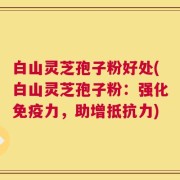 白山灵芝孢子粉好处(白山灵芝孢子粉：强化免疫力，助增抵抗力)