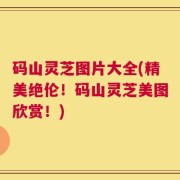 码山灵芝图片大全(精美绝伦！码山灵芝美图欣赏！)