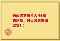 码山灵芝图片大全(精美绝伦！码山灵芝美图欣赏！)
