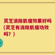 灵芝消除肌瘤效果好吗(灵芝有消除肌瘤功效吗？)
